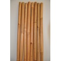 Bambusová tyč 3- 4 cm, délka 2 metry - lakovaná medová